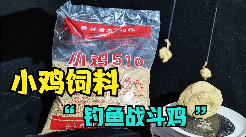 小崔钓鱼 2元1斤的小鸡饲料，想要开拉饵 [视频]