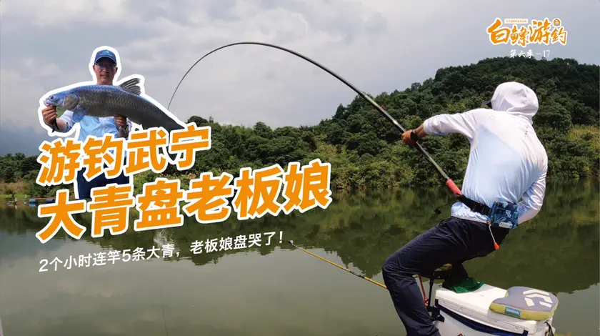白条杀手2个小时连上5条大青鱼，最大30多斤 [视频]