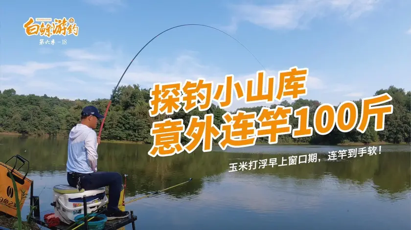 白条杀手 翻了几座山找到的水库，鱼情好到吓人 [视频]