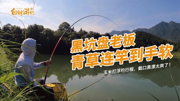 白条杀手 农村大爷的鱼塘收费200，没有人愿意钓 [视频]