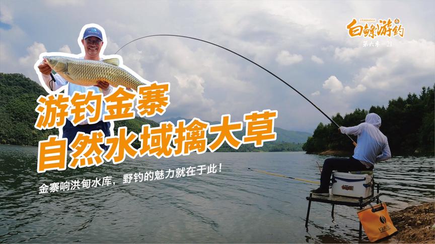 白条杀手 白条运气爆棚连中大草，圆了3年大草鱼梦 [视频]