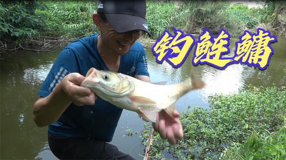 桥筏江湖 天元邓刚浮钓鲢鳙，狂拔小河沟 [视频]