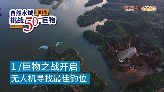 白条杀手 自然水域挑战50+巨物，开着无人机找钓位 [视频]