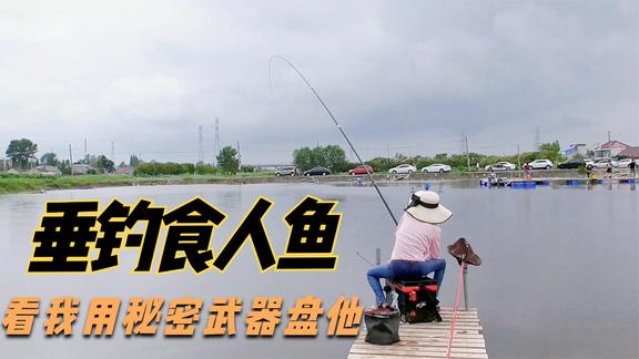 渔乐十三妹 钓食肉鱼白鲳鱼 [视频]