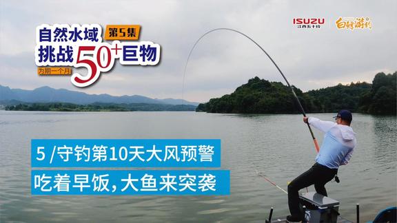 白条杀手 早饭刚吃第一口，扔下去大青鱼就黑漂 [视频]