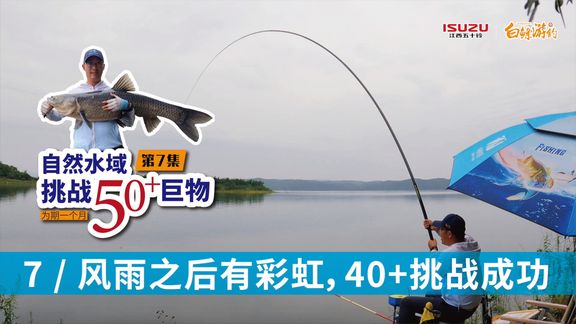 白条杀手 40+野生大青鱼拉力到底有多强 [视频]