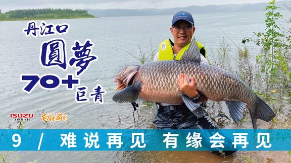 白条杀手 70斤巨青终于出水，冒雨继续坚守 [视频]