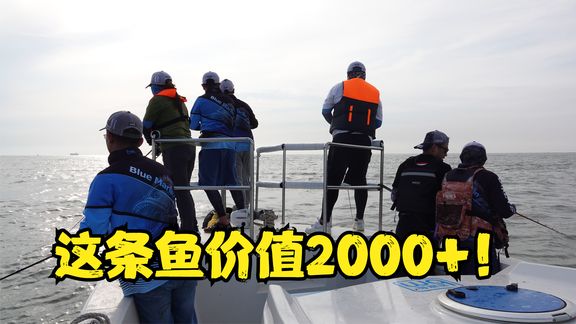 小汐路亚 起去狂拔 ，经销商实战大海鲈 [视频]