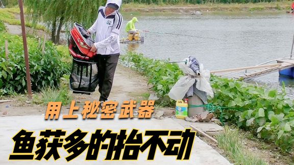 渔乐十三妹 挑战黑坑，螺蛳青不用螺丝也能爆护 [视频]