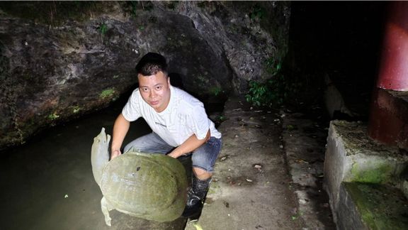 阿彬户外 野货真多甲鱼黄鳝抓不停 [视频]