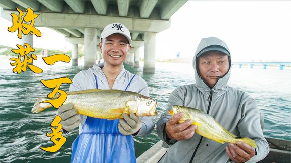 渔人阿烽 阿烽抓到两条野生黄瓜鱼 [视频]