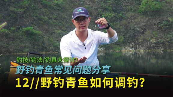 白条杀手 钓大青鱼调漂教程 [视频]