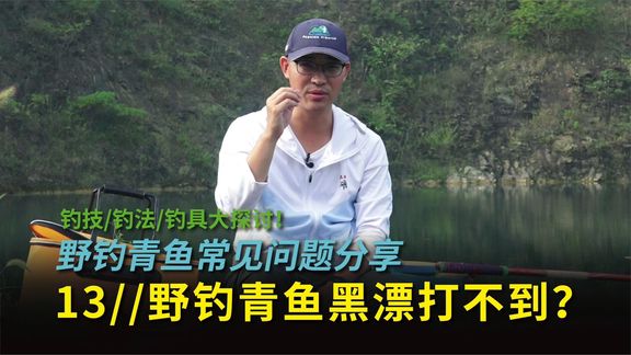 白条杀手 野钓青鱼黑漂，真的需要数123吗 [视频]