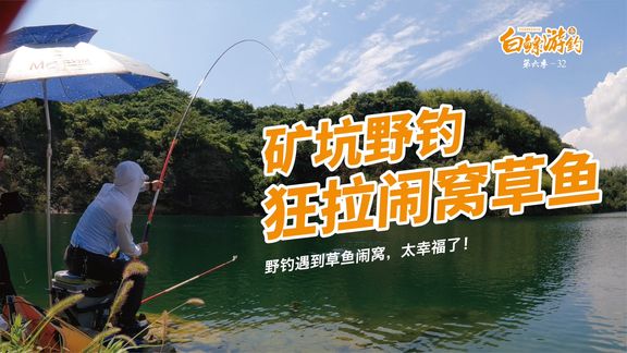 白条杀手 深山矿坑野钓，遇到草鱼连竿闹窝 [视频]