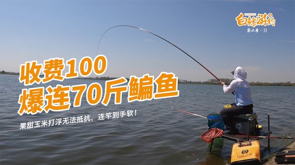 白条杀手 库钓收获70多斤鳊鱼，收费才100 [视频]