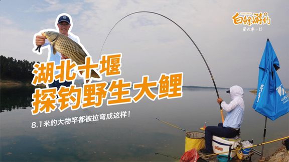 白条杀手 野钓大鲤鱼，黑漂扬竿一瞬间就打桩 [视频]