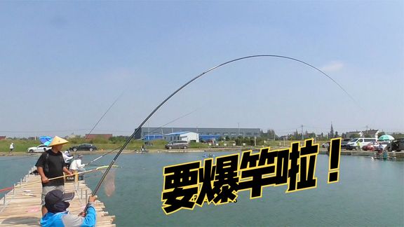 渔乐十三妹 钓到20斤以上大花鲢就能免塘费 [视频]