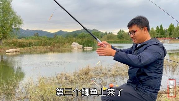 书岳钓鱼 户外垂钓测试饵料诱食能力 [视频]