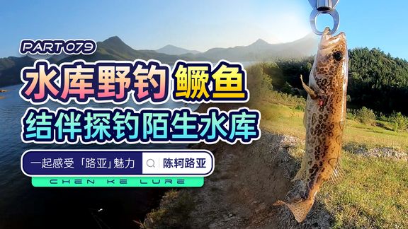 陈轲路亚 野水鳜鱼怎么钓？跟着陈轲找结构 视频]