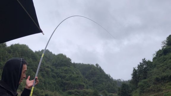 二毛荒野垂钓生活 这样的天气抽鲢鳙也是一种挑战 [视频]