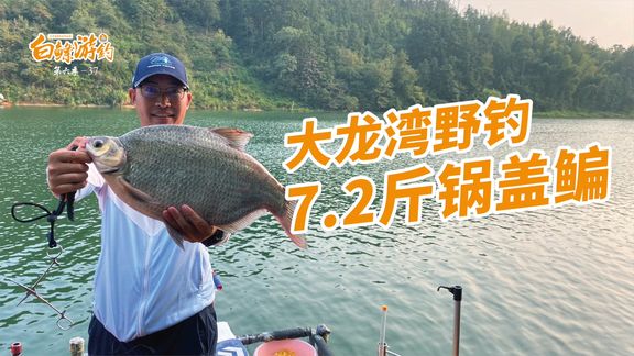 白条杀手 破纪录！7.2斤野生锅盖鳊被钓获 [视频]