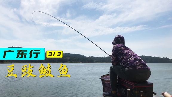 户外老曹 老曹用鲫鱼竿钓土鲮，这手感太棒了 [视频]