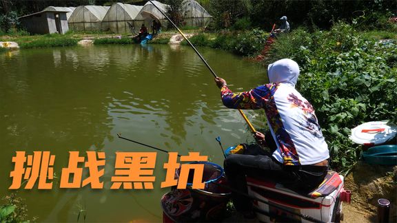 钓鱼小姐姐毛毛 挑战黑坑，几十个钓手钓一个塘子 [视频]