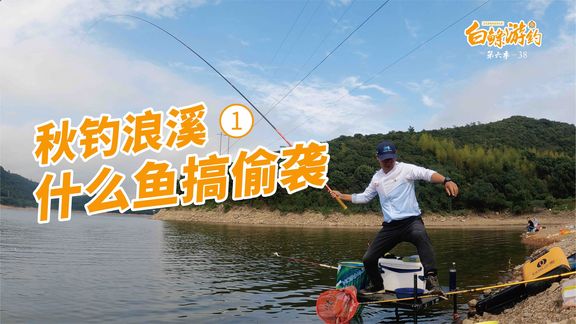 白条杀手 降温后的第1天，果然是爆护天 [视频]