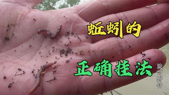 旋哥野钓 挂蚯蚓钓跑铅，需要注意的2个点 [视频]