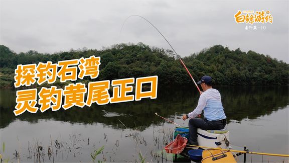白条杀手 探钓石湾水库，这种黄尾钓法漂相标准 [视频]