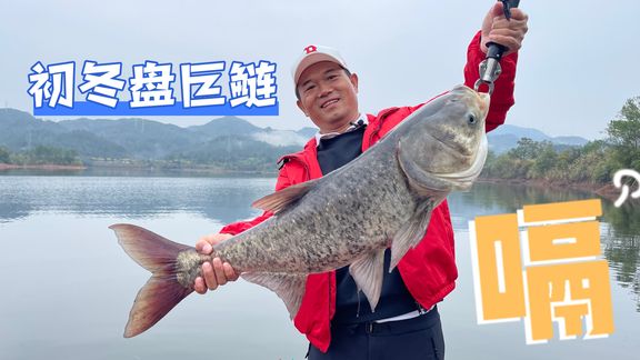邓刚钓鱼 初冬盘巨鲢鳙 [视频]