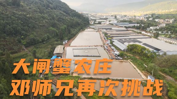 钓鱼小姐姐毛毛 邓师兄再次来到大闸蟹农庄 [视频]