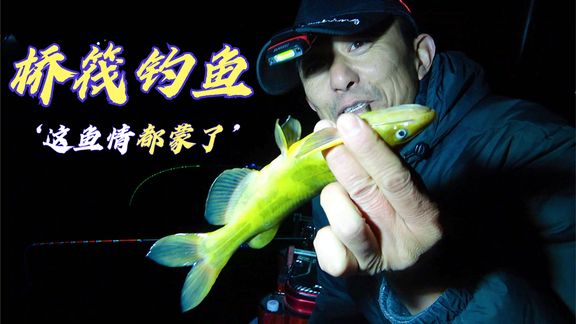 桥筏江湖 3桥筏钓鱼,穿双层羽绒服钓黄辣丁 [视频