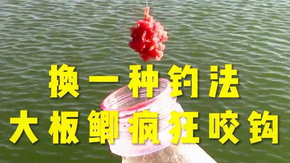 渔客阚哥 用这种钓法，不用打窝，鲤鱼鲫鱼咔咔上 [视频]