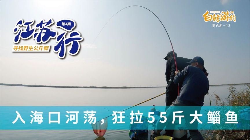 白条杀手 狂拉55斤鲻鱼是什么体验 [视频]