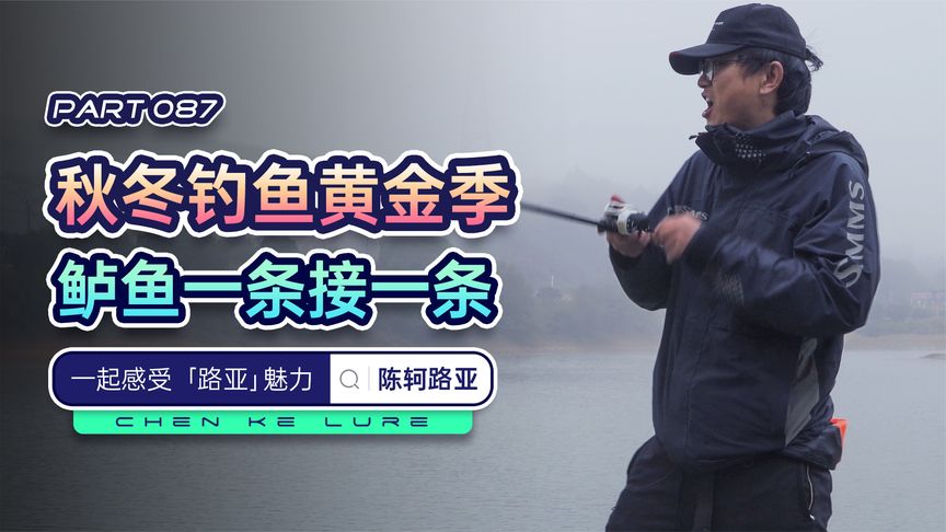 陈轲路亚 秋冬钓鱼黄金季，鲈鱼一条接一条 视频]