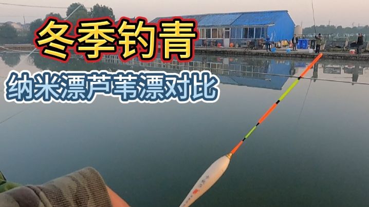 寨主钓大鱼 冬天黑坑青鱼调漂 [视频]
