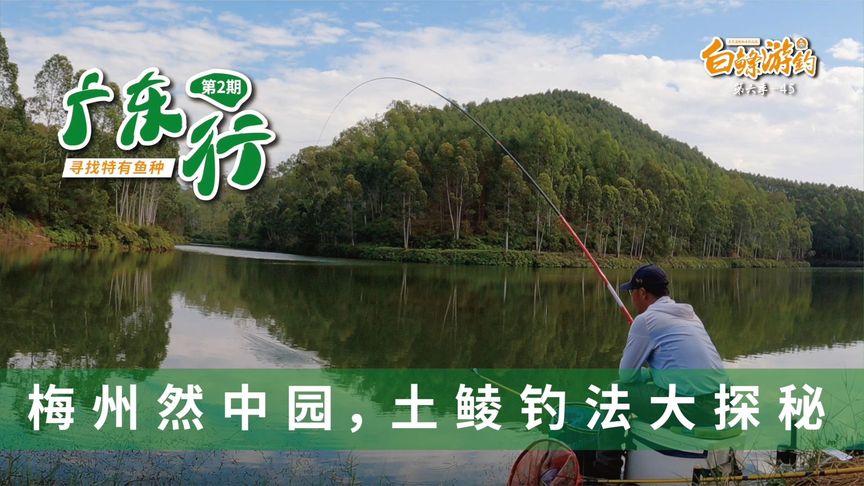 白条杀手 全场15个钓友，加起来没有白条一个人钓得多 [视频]
