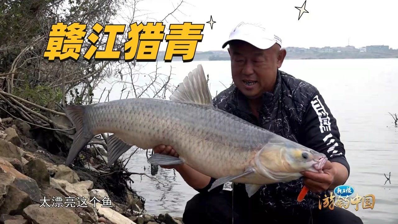 游钓中国第七第24集 赣江猎青 [视频]