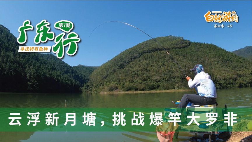 白条杀手 听钓友说，水库里有种罗非叫妖怪非 [视频]