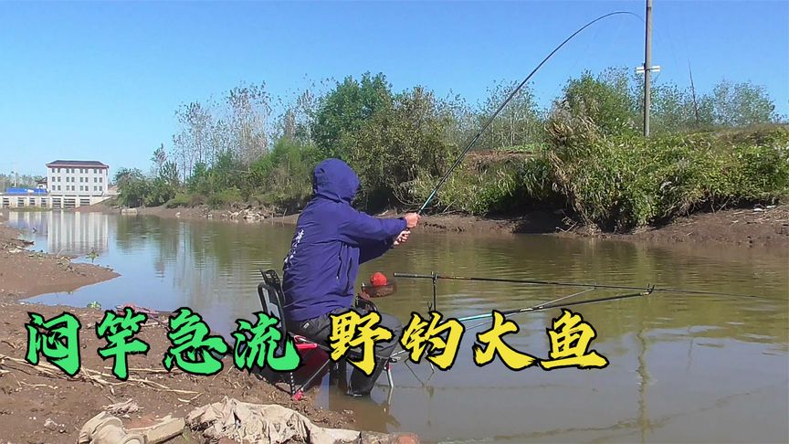 旋哥野钓 闷竿钓流水，就用这种方式开饵料 [视频]