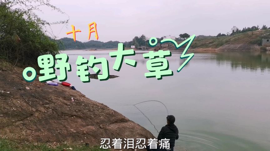 阿呈钓鱼 钓友一起掐鱼，遇到白条疯狂闹钩 [视频]
