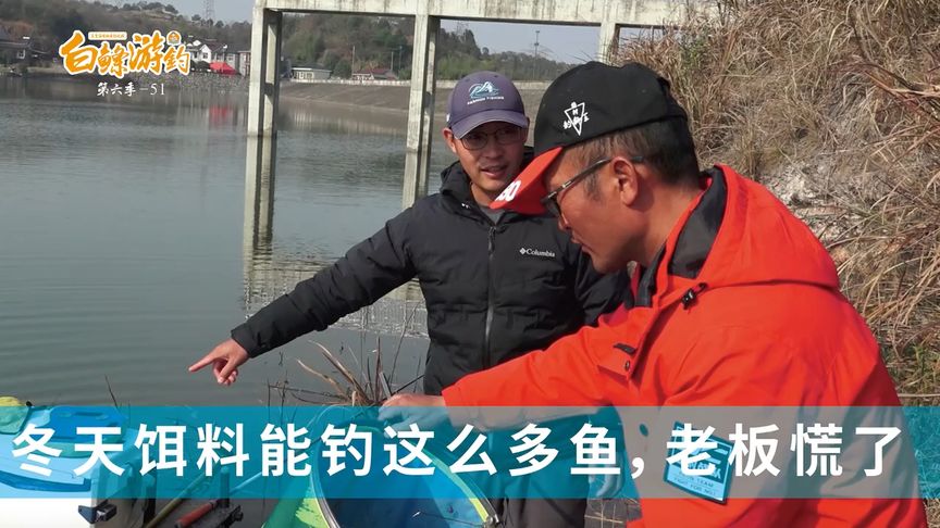 白条杀手 探钓七里冲水库，钓到鲤鱼窝子了 [视频]