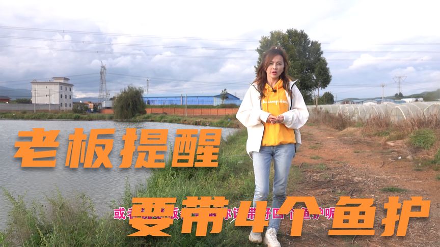 钓鱼小姐姐毛毛 黑坑老板特别提醒，要带4个鱼护 [视频]