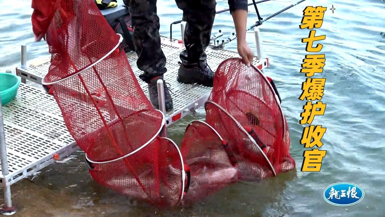 游钓中国第七第25集 爆护收竿花亭湖 [视频]