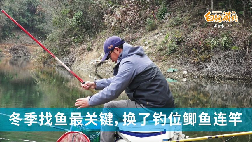白条杀手 冬天钓位太关键了，开杆大鲫鱼就连竿 [视频]