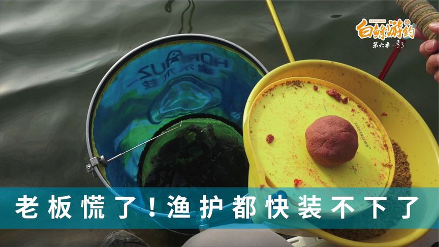 白条杀手 冬天库钓拉饵带散炮，鲫鱼全部离底截口 [视频]
