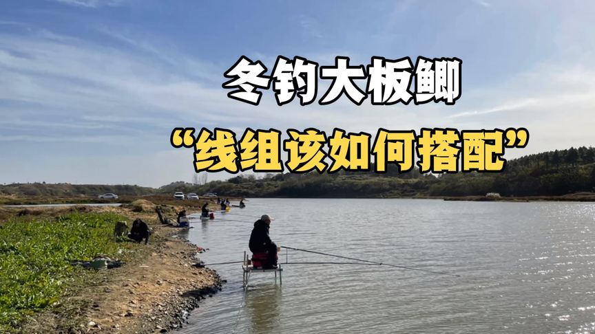 邓刚钓鱼 冬钓大板鲫干货分享 [视频]