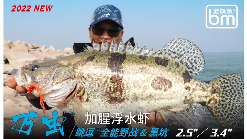 小汐路亚 野战跳鳜，万虫浮水虾的操控秘笈 [视频]