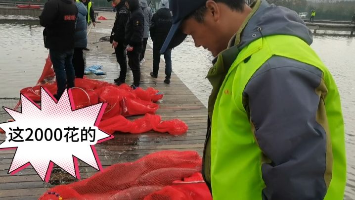 寨主钓大鱼 挑战青鱼高密度塘 [视频]